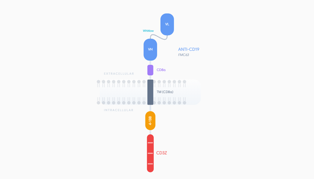 CAR-T Structure Architect interface screenshot